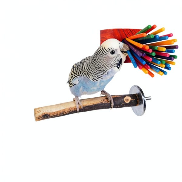 Paper Party Bird Toy Super Bird Creations Lollipop Sticks for Conures-5