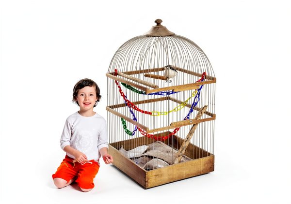 JIALEEY 100PCS Plastic Chain Links, Children's Learning Toy, Mix Color Rainbow DIY C-Clips Chains Hooks Swing Climbing Cage Toys for Bird Sugar Glider Rat Parrot-6