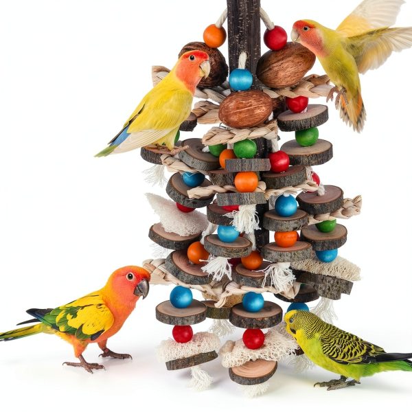 BBjinronjy Large Parrot Toys Bird Chewing Toys Natural Nuts Corn-5