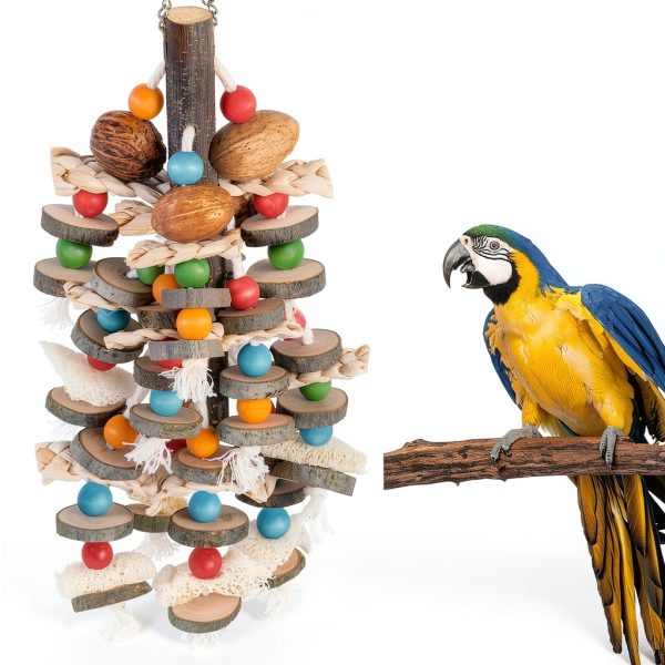 BBjinronjy Large Parrot Toys Bird Chewing Toys Natural Nuts Corn-2