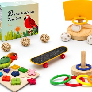 Bird Toys Parakeet Set 5pcs by HOORITO Natural Wood & ABS Design-0