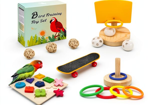 Bird Toys Parakeet Set 5pcs by HOORITO Natural Wood & ABS Design-0