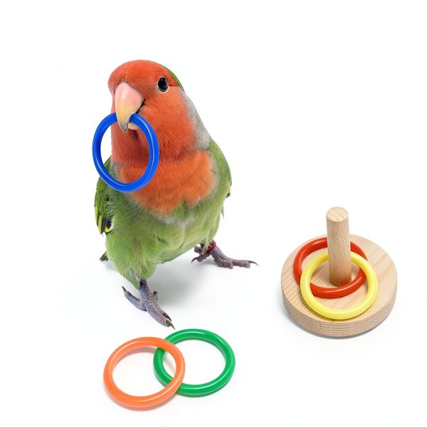 Bird Toys Parakeet Set 5pcs by HOORITO Natural Wood & ABS Design-1
