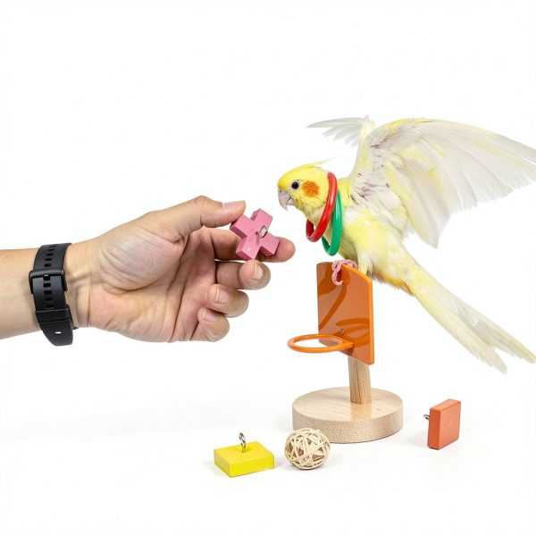 Bird Toys Parakeet Set 5pcs by HOORITO Natural Wood & ABS Design-4